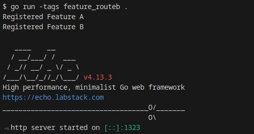 Go: Dynamic web handler registration with echo
